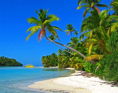 cheapfare|cheap fares to rarotonga.